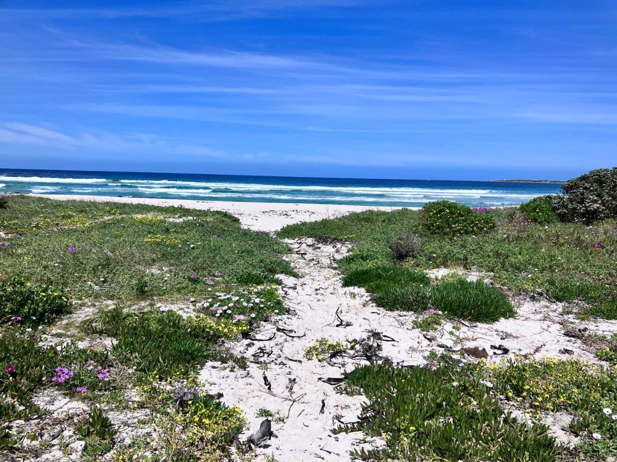 Silverdunes - Seaview Bettyʼs Bay Exterior foto